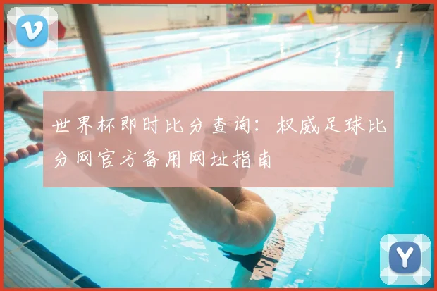 世界杯即时比分查询：权威足球比分网官方备用网址指南