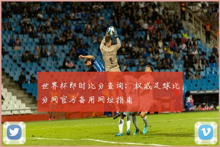 世界杯即时比分查询：权威足球比分网官方备用网址指南