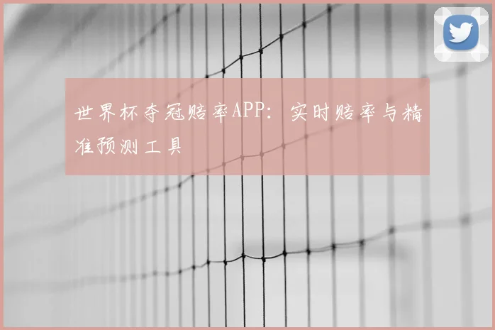 世界杯夺冠赔率APP：实时赔率与精准预测工具