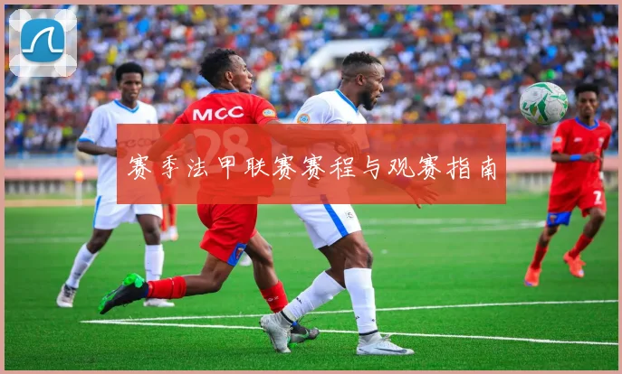 赛季法甲联赛赛程与观赛指南
