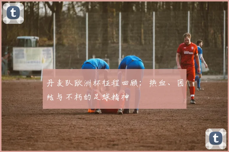 丹麦队欧洲杯征程回顾:热血、团结与不朽的足球精神