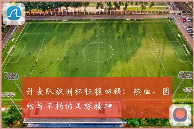 丹麦队欧洲杯征程回顾：热血、团结与不朽的足球精神